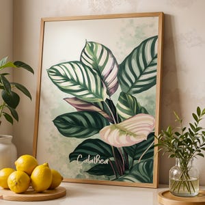 Calathea Pflanze Poster, Botanische Wandkunst Druck, Tropisches Grün, Wohnkultur, minimalistische Natur Illustration für Wohnzimmer & Büro