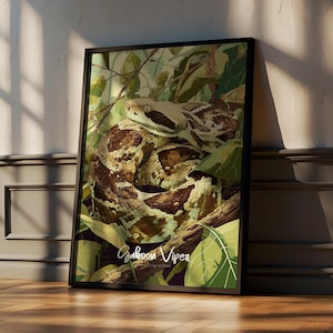 Plakat w ramie Gaboon Viper Wall Art – Jungle Reptile Decor do pokoju dziecięcego lub pokoju dziecięcego, nadruk z dzikim wężem, prezent inspirowany naturą