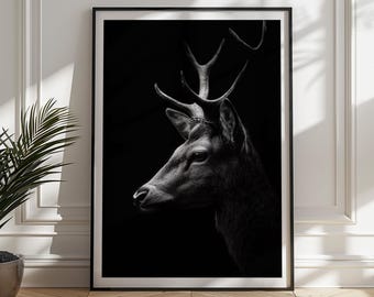 Stampa di cervo in bianco e nero: elegante decorazione murale con animali selvatici