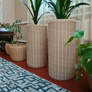 May include: A collection of woven wicker plant pots in different shapes and sizes. Two tall, cylindrical pots are prominent, alongside smaller, square ones. All are filled with green plants. The floor is red, and a patterned rug is visible.