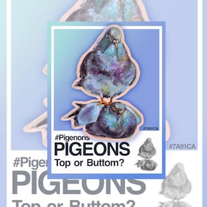 Vinyl Sticker Pigeon