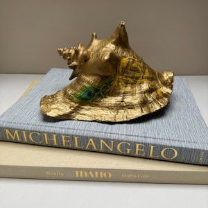 May include: A large, gold-painted conch shell with peacock feather accents rests on two books. The shell's surface is textured, and the peacock feather design includes green, yellow, and blue details. The books are titled "MICHELANGELO" and "IDAHO".