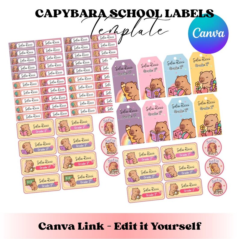 Funny Capybara School Labels, Cute Capybara Stickers, Editable Name ...