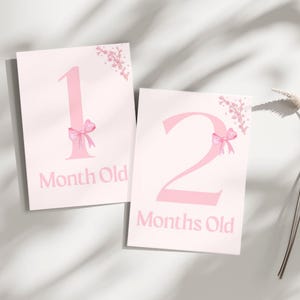 Cartes d'étape imprimables pour bébé fille | Cartes photo mensuelles pour bébé | 1-12 mois + premiers pas | Cartes de vœux roses | Téléchargement numérique
