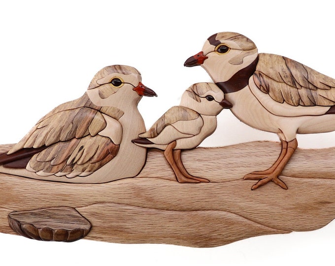 Piping Plover Family Wood Carved Wall Hanging, Intarsia Wood Art