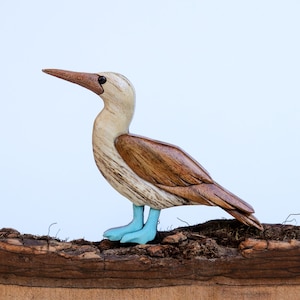 May include: A wooden sculpture of a blue-footed booby bird. The bird has a light brown head and body with darker brown wings. Its feet are painted a bright blue. The sculpture is perched on a piece of wood.