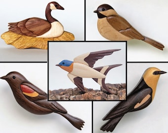 Bird ornament / magnet set #2, Carolina chickadee, Red-wing blackbird, Yellow-head blackbird, Barn swallow, Canada Goose, Intarsia wood art