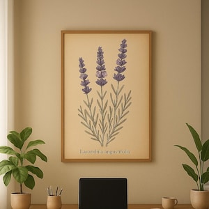 Lavendel Botanischer Kunstdruck - Vintage Lavandula Angustifolia Illustration, Antike Feldführer Wandkunst, Botanisches, Kräutergarten-Dekor
