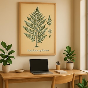 Vintage Fern Botanical Print, Pteridium Aquilinum Wall Art, Bracken Fern Poster, Scientific Plant Illustration, Antique Nature Download
