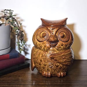 May include: A ceramic owl-shaped cookie jar in shades of brown. The jar has a lid and is detailed with textured feathers, large eyes, and a smiling beak. It sits on a wooden surface, with a potted plant and books in the background.