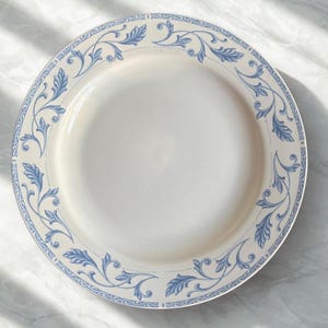 May include: White ceramic plate with a blue floral design around the rim. The plate has a simple, elegant aesthetic, suitable for serving food. The blue pattern is a repeating motif of leaves and vines.