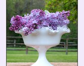 Fenton Silver Crest Compote Fenton Milk Glass Pedestal Milk Glass Bowl Elegant Milk Glass with Crystal Edge Wedding Centerpiece