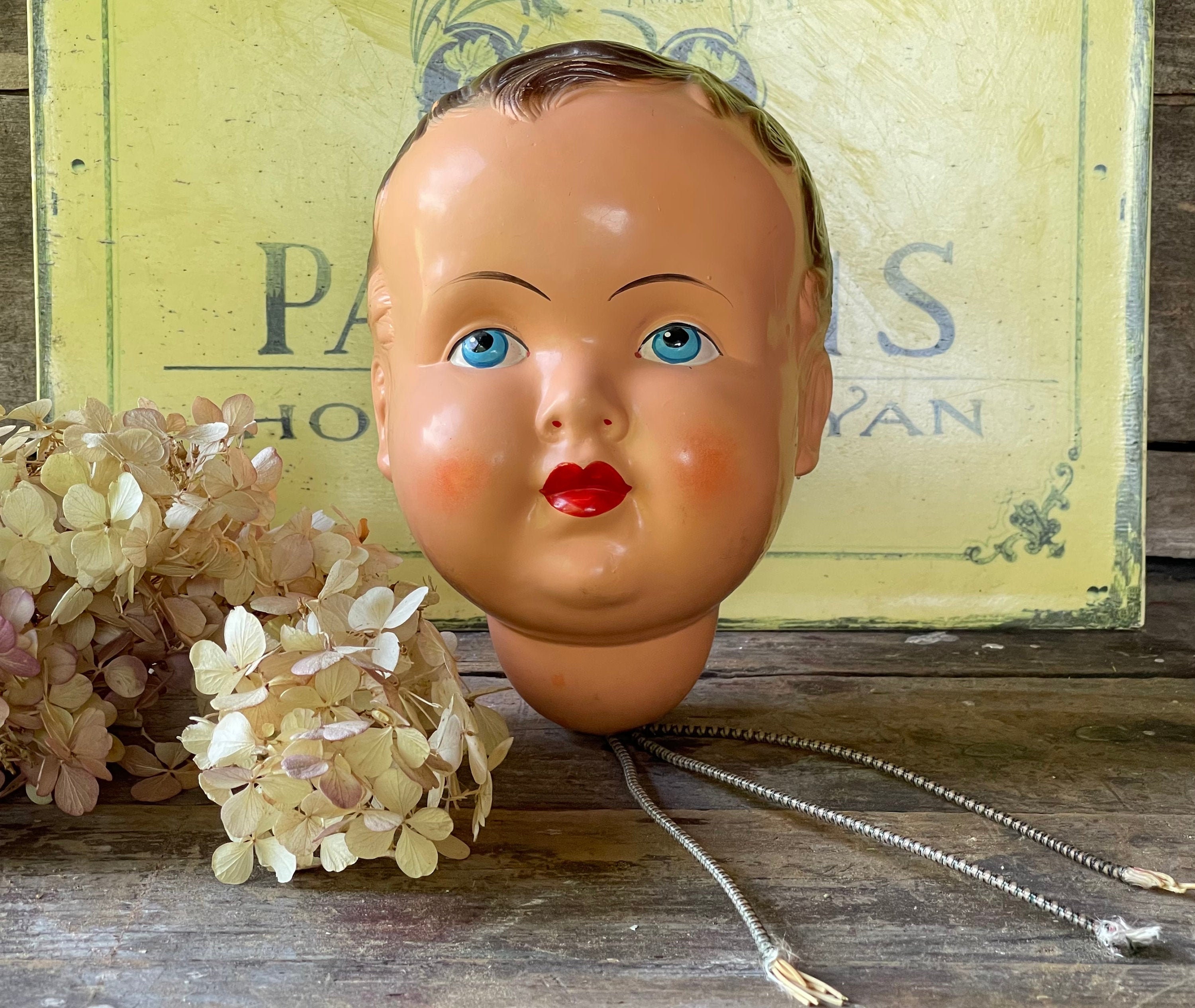 Celluloid Doll Head for sale Only 2 left at 65