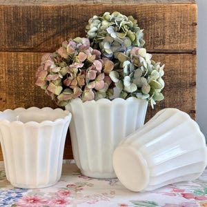 May include: Three white milk glass planters with a scalloped rim and vertical ribbed texture. The central planter holds a cluster of dried hydrangea flowers in muted shades of pink, green, and blue, while two empty planters sit in front.