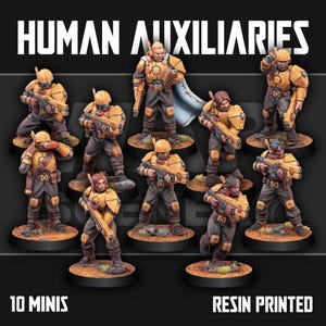 Auxiliares Humanos