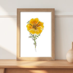 California Poppy Watercolor Illustration, Farmhouse Wall Decor, Poppy Print, Floral Art, California Artwork, Flower Art, Mother&#39;s Day Gift