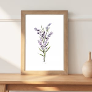 Lavender Watercolor Illustration Floral Art Contemporary Kitchen Artwork Minimalist Botanical Wall Decor Mother&#39;s Day Gift for Her Flowers