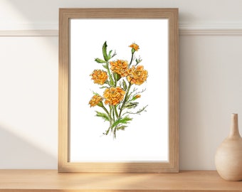 Puede incluir: Una pintura de acuarela enmarcada de un ramo de caléndulas naranjas con tallos y hojas verdes sobre un fondo blanco.