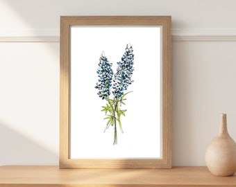 Könnte beinhalten: Ein gerahmtes Aquarellbild von Blaublüten, einer Wildblumenart, die in Texas heimisch ist, auf weißem Hintergrund.