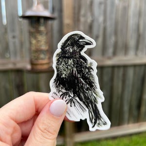 Raven Sticker Halloween Stickers for Halloween Decal Spooky Decoration Spooky Sticker Poe Sticker Goth Sticker for Laptop Quote The Raven