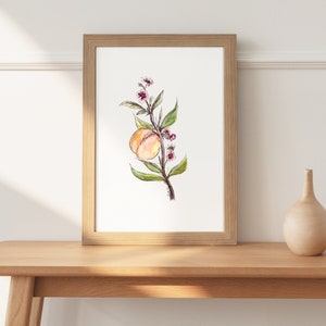 Peach Watercolor Illustration, Fruit Print, Minimalist Botanical Art, Plant Wall Art, Peach Gifts, Farmhouse Wall Decor, Food Print