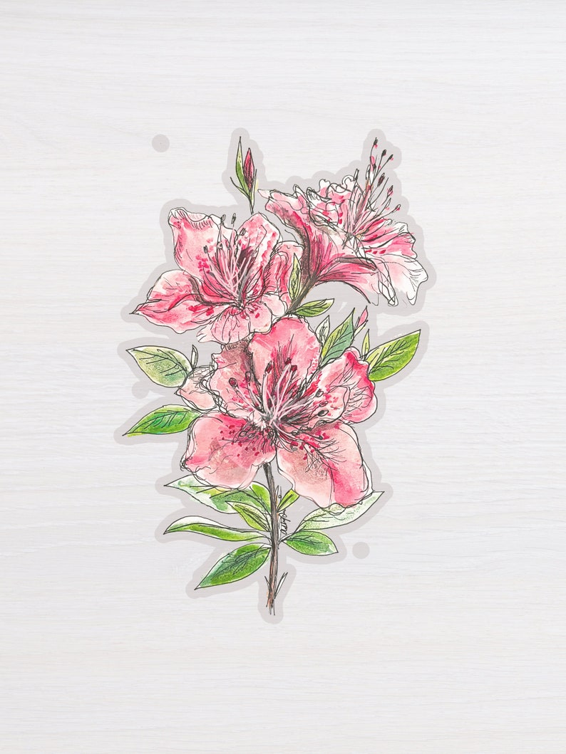 Azalea Sticker Azalea Sticker Golf Gift Father's Day Golf Gift for Him Art Print ...