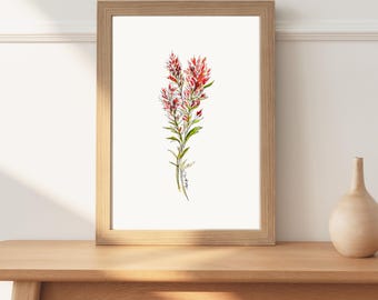 Indian Paintbrush Aquarell Illustration, Original Kunstwerk, Blumenwandkunst, Bunte Blumenkunst, Muttertagsgeschenk, Wildblumen Druck