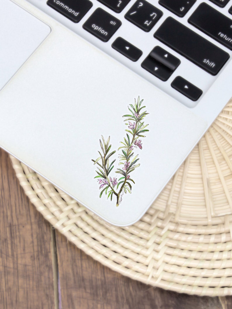 Rosemary Sticker Rosemary Sticker, Original Art Stickers, Flower Sticker, Minimalist ...