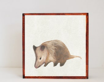 woodland nursery art- opossum art print- forest animals- nursery woodland art- animal print- nursery forest - decor- redtilestudio