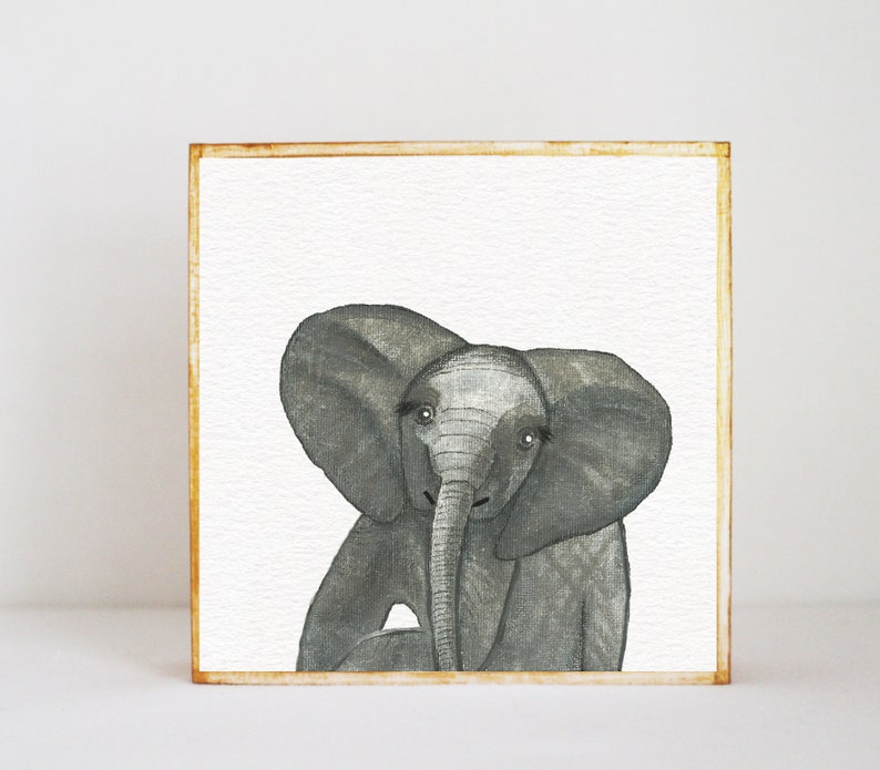 Zoo Safari Jungle Nursery Decor Elephant Wall Art Nursery Etsy