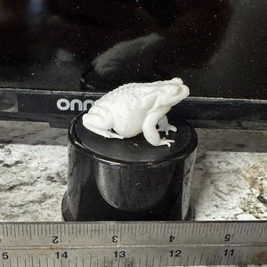 May include: A white toad figurine with a textured, bumpy surface sits atop a glossy black cylindrical base. A metal ruler is positioned in the foreground, showing the base has a diameter of approximately 2.5 inches and the toad is 2 inches long.