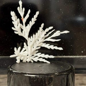 May include: A white, textured, branch-like decorative object with a small reddish-brown spot on one of its upper segments, positioned upright on top of a smooth, cylindrical, black base with a glossy finish and a slightly faceted side profile.