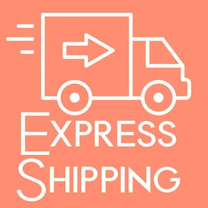Può includere: Disegno a tratto bianco di un camion di consegna con una freccia, su sfondo corallo. Le parole "EXPRESS SHIPPING" sono sotto il camion.