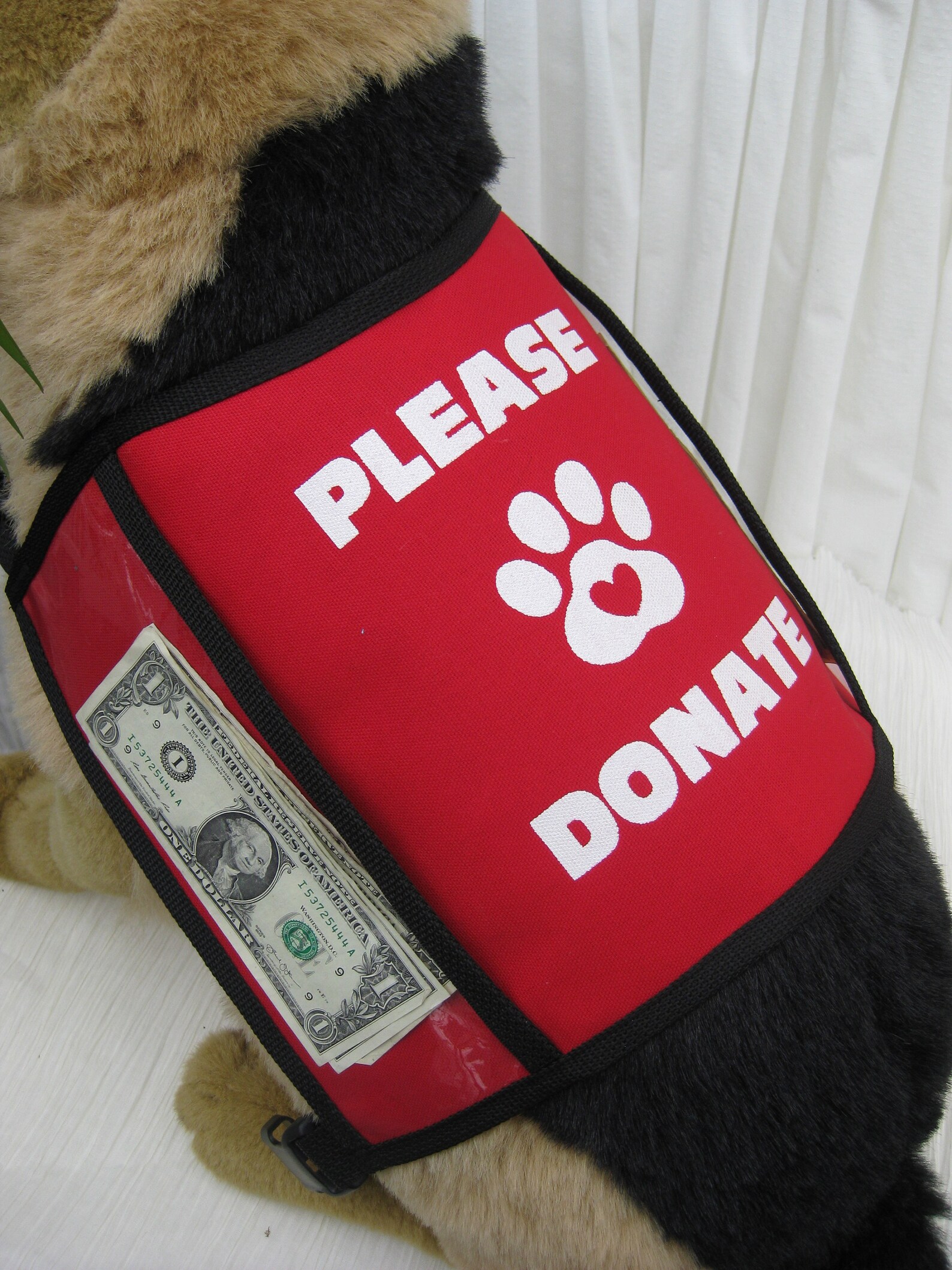 Dog Donation Vest Large Etsy