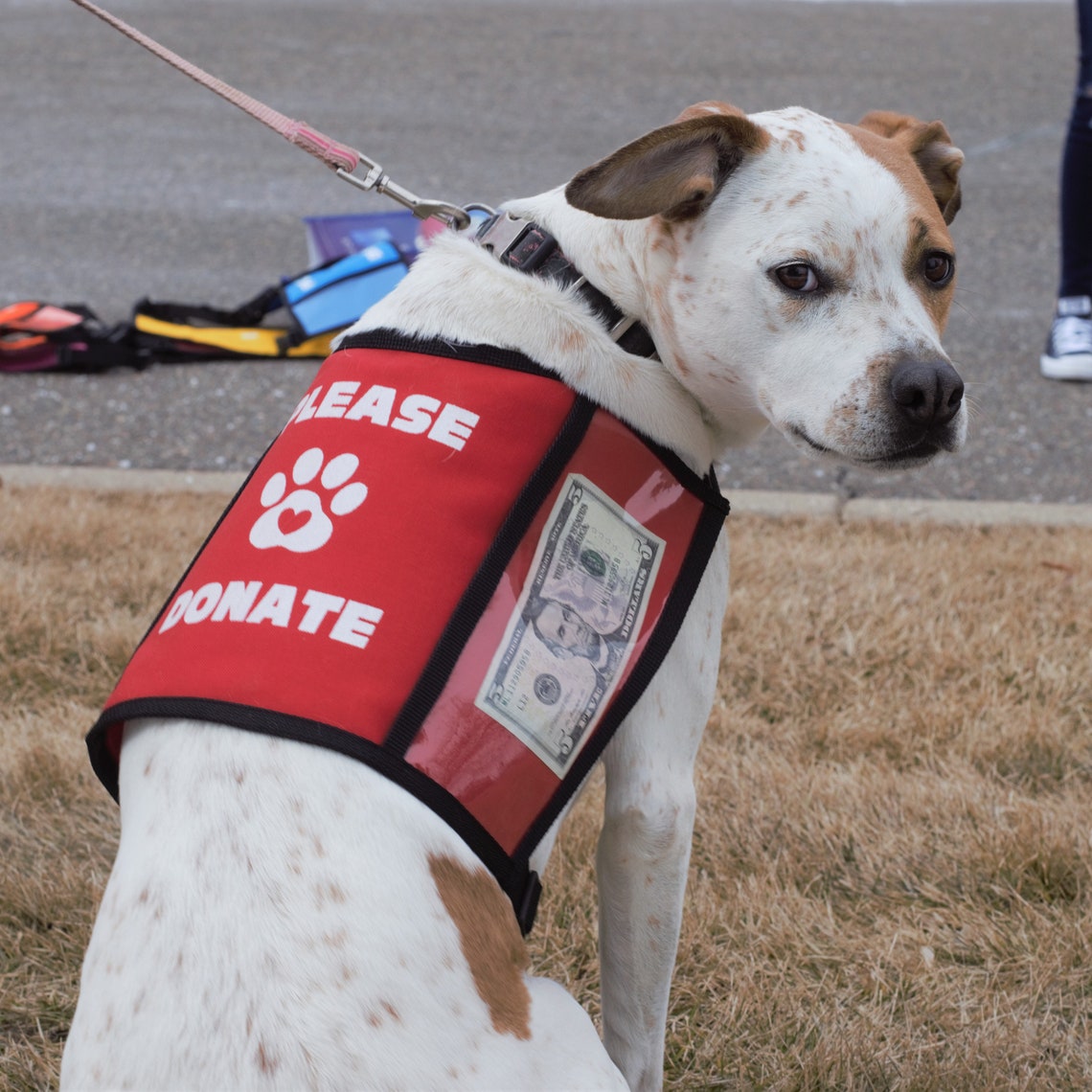 Dog Donation Vest Large Etsy
