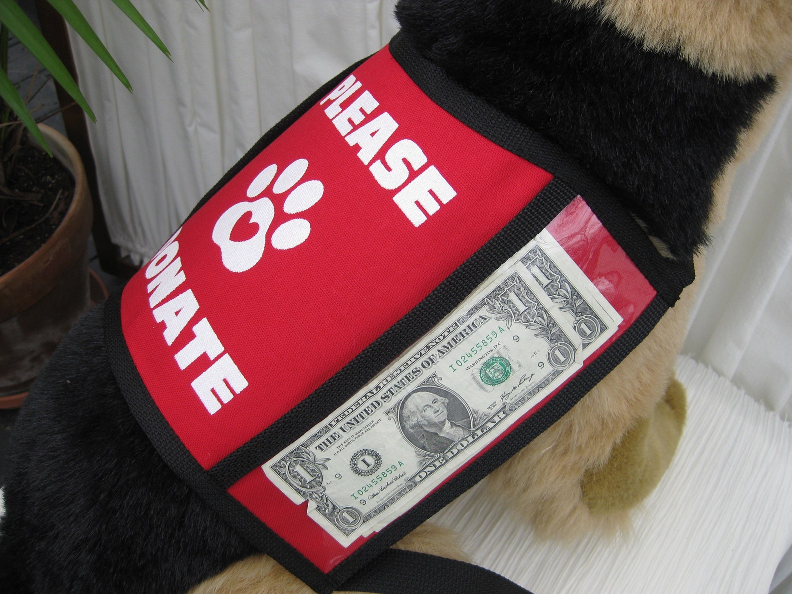 Dog Donation Vest Medium Etsy