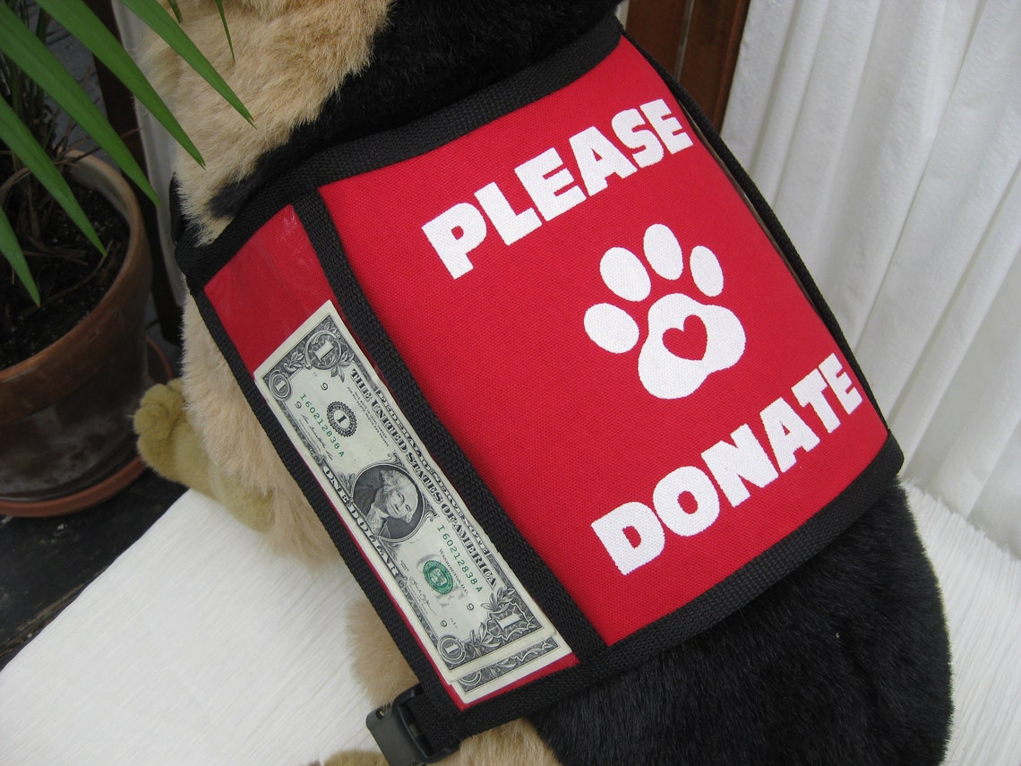 Dog Donation Vest Medium Etsy