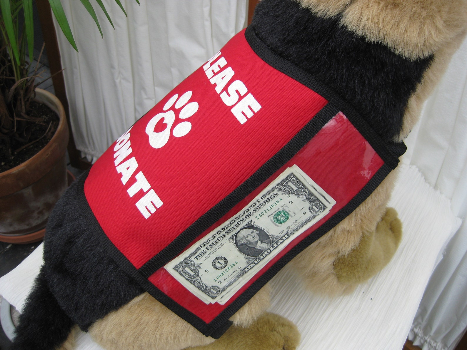 Dog Donation Vest Large Etsy