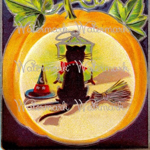 Uitstekende Zwarte Kat met Heksenhoed, Bezem &lantaarn. Halloween &quot;Don&#39;ts&quot;. Direct digitaal downloaden