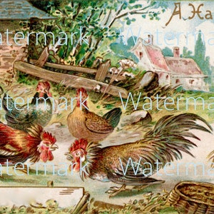Vintage Easter Chickens & Roosters Farm Scene. Instant Digital Download.