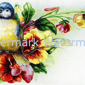 Vintage Bluebird & Flowers, Greeting or Birthday Card, Digital Download