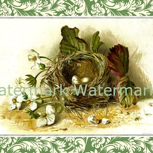 Large Vintage Spring Easter Bird Nest & Eggs Image on Damask Background. Instant Digital Download. Plus FREE gift.