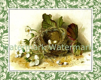 Large Vintage Spring Easter Bird Nest & Eggs Image on Damask Background. Instant Digital Download. Plus FREE gift.