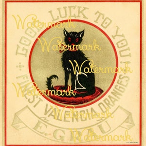 Vintage Art Deco Halloween Black Cat Sign Oranges. Instant Digital Download