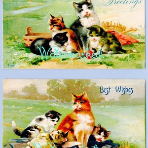 Gato e gatinho eduardianos vintage, 2 imagens de cartão postal. Download digital instantâneo.