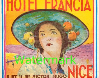 Vintage Hotel Francia, Nice, France. Luggage Label, Digital Image