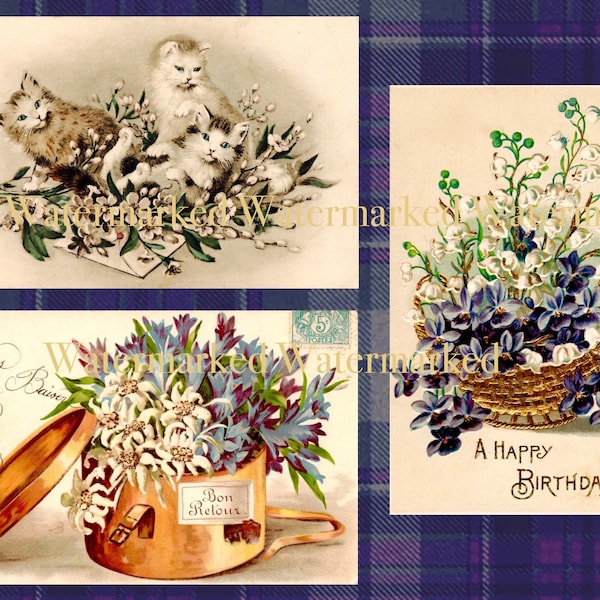 Vintage 3 Birthday Greeting Postcards, French Kittens, Copper Pot, & Violets on Purple Plaid, Digital Download