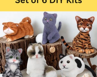 Cat Beginner Needle Felting Embroidery Kit: DIY Wool Craft Set