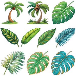 May include: A collection of tropical illustrations featuring palm trees with coconuts, and various green and blue leaves. The leaves include monstera, banana, and fern varieties, some with gold accents. The artwork is set against a white background.