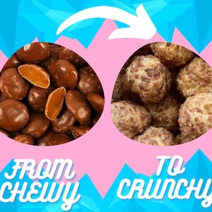 Freeze Dried Chocolate Caramel Chews